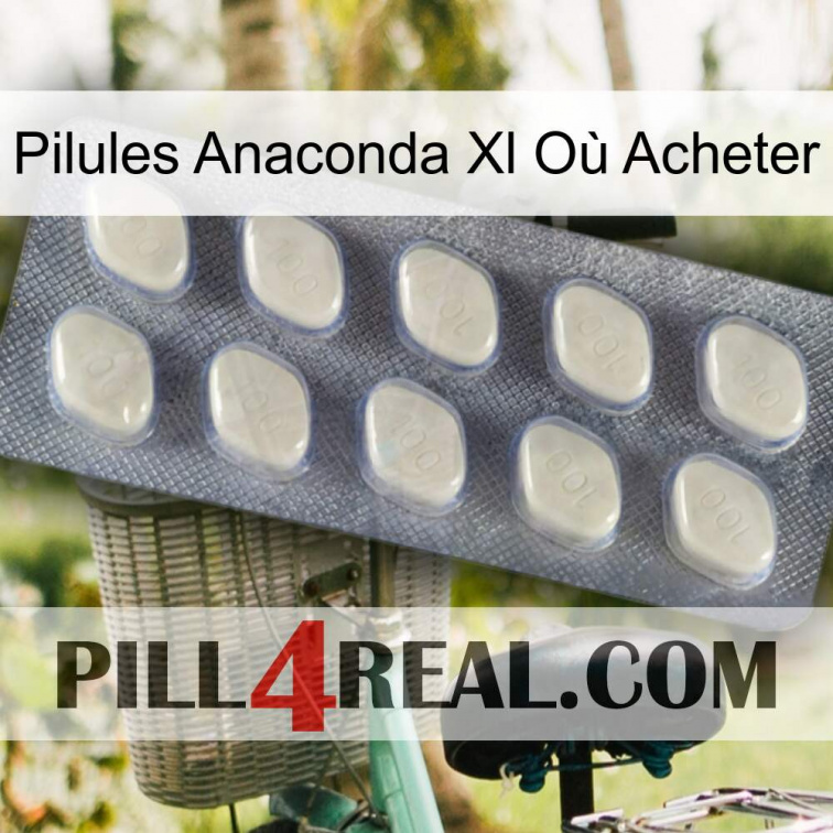 Pilules Anaconda Xl Où Acheter 08